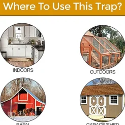 Umweltfreundliche, wiederverwendbare Mausefalle – Intelligente Lösung zur Nagetierbekämpfung