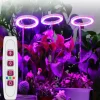 5V LED Plant Light - Indoor Grow Lamp for Gardening