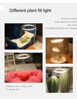 5V LED Plant Light - Indoor Grow Lamp for Gardening