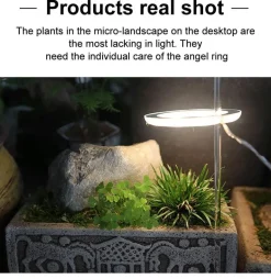 5V LED Plant Light - Indoor Grow Lamp for Gardening