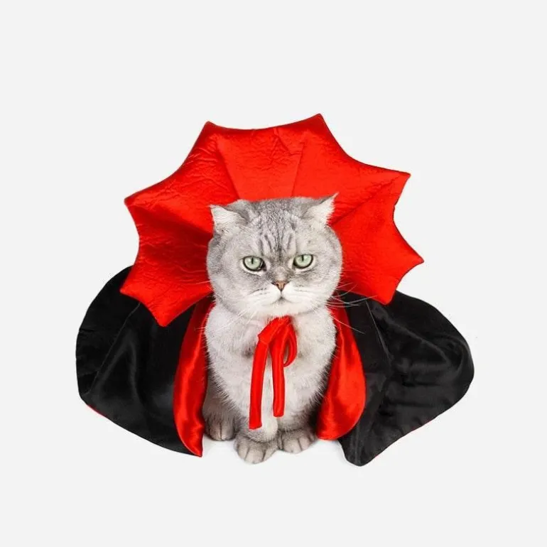 Vampir-Katzenkostüm – Gruseliges Halloween-Haustier-Outfit