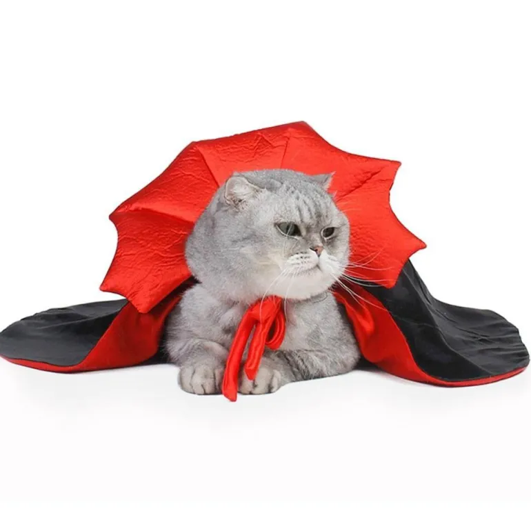 Vampir-Katzenkostüm – Gruseliges Halloween-Haustier-Outfit