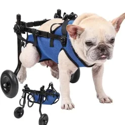 Verstellbarer Hunderollstuhl – Ergonomische Mobilitätshilfe für Haustiere