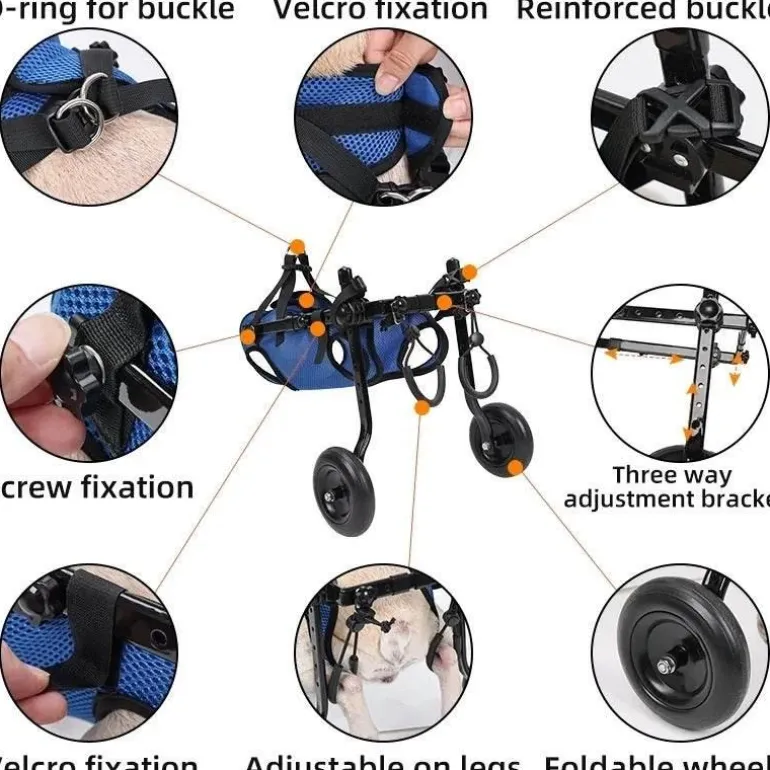 Verstellbarer Hunderollstuhl – Ergonomische Mobilitätshilfe für Haustiere