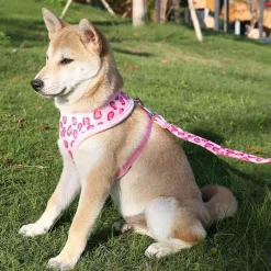 Verstellbares Hundehalsband – bequemes Haustier-Accessoire für Hunde