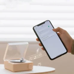 Vintage Bluetooth Plattenspieler - Retro Mini Lautsprecher