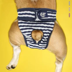 Waschbare Hundewindel – Wiederverwendbare Trainingshilfe für Haustiere