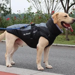 Wasserdichte Winterjacke für Hunde – warmer, gemütlicher Haustiermantel