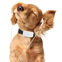 Wasserdichtes GPS-Tracker-Halsband für Haustiere – Standort-Tracker für Hunde und Katzen