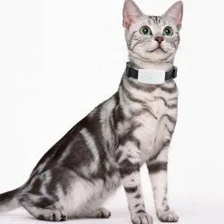 Wasserdichtes GPS-Tracker-Halsband für Haustiere – Standort-Tracker für Hunde und Katzen