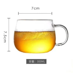 Wasserkrug aus Glas – 2500 ml Getränkekaraffe mit Deckel