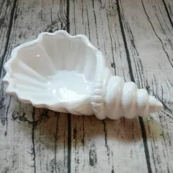Weißes Conch-Teller-Set – elegantes Porzellangeschirr für Snacks und Desserts