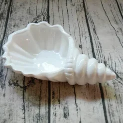 Weißes Conch-Teller-Set – elegantes Porzellangeschirr für Snacks und Desserts