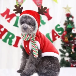 Weihnachtsmann-Hundekostüm – Feiertags-Haustier-Outfit