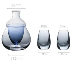 Weinkaraffe aus Glas – Vielseitiger Whisky- und Sake-Spender