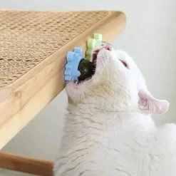 Zahnpflege-Kauball mit Katzenminze – 360° drehbares Katzenspielzeug für gesunde Zähne