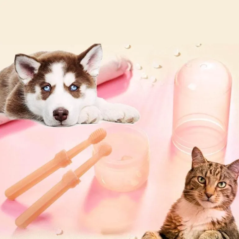 Zahnpflegeset für Haustiere – Zahnbürstenset für Hunde und Katzen