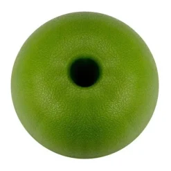 Zitronen-Eiswürfelform – 10-Mulden-Form für kreative Getränke