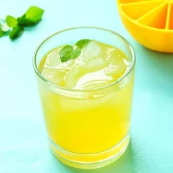 Zitronen-Eiswürfelform – 10-Mulden-Form für kreative Getränke